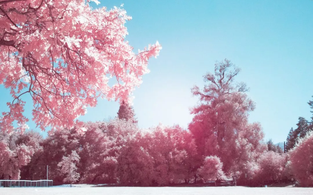 What is a normal period?